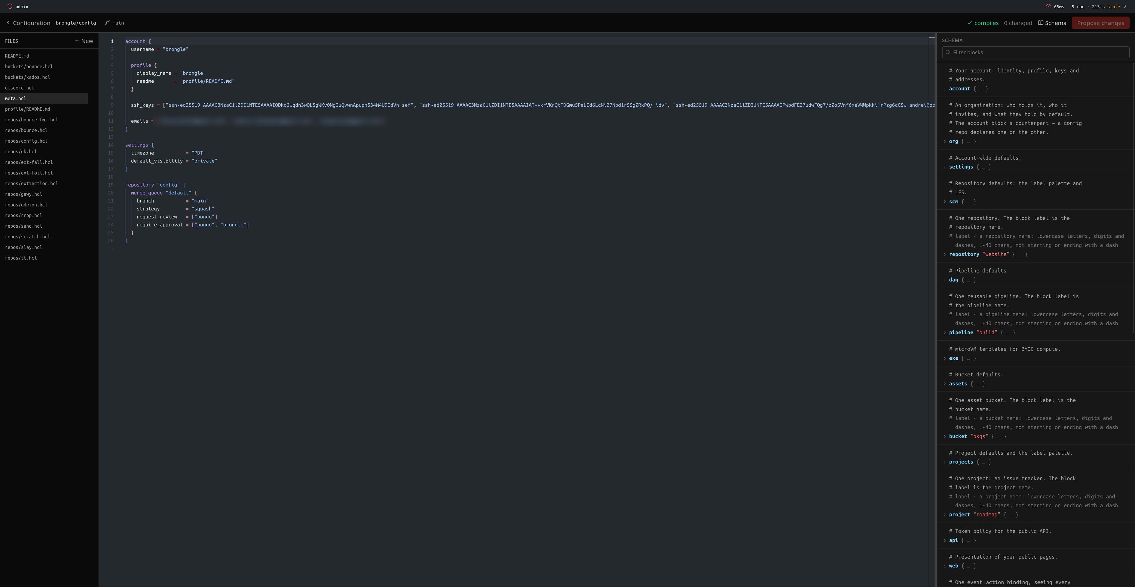 Oiko configuration editor: an account's config repo in HCL with the schema alongside